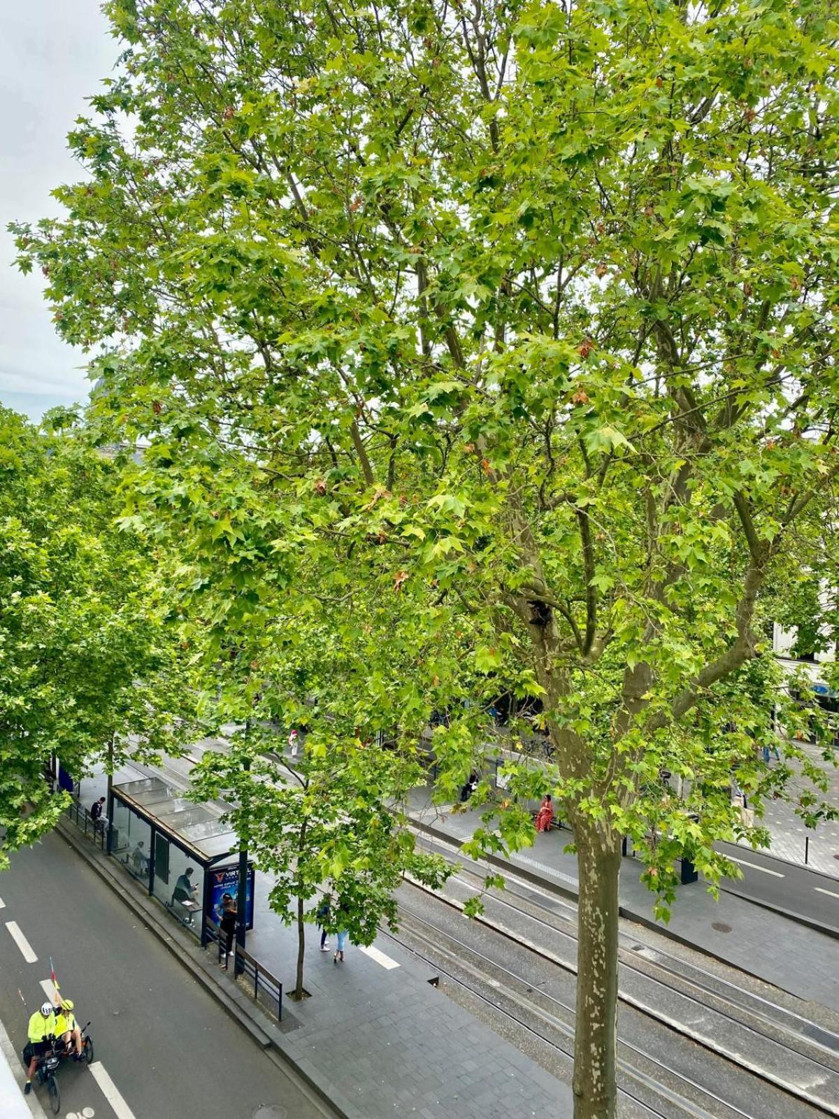 Logement Hyper Centre Jean-Jaures Apartamento Tours Exterior foto